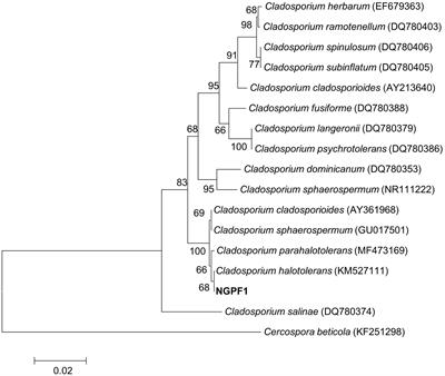 Frontiers | Plant Growth Promotion By Two Volatile Organic Compounds ...